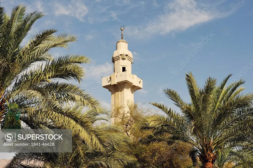 Minaret and palms, Akaba, Jordan, Asia