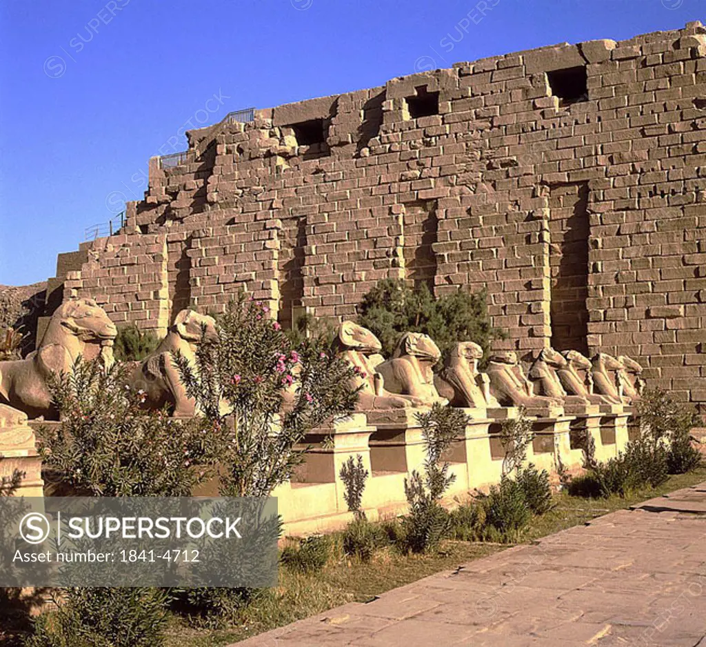 Ruins of temple, Sphinx Temple, Luxor, Egypt