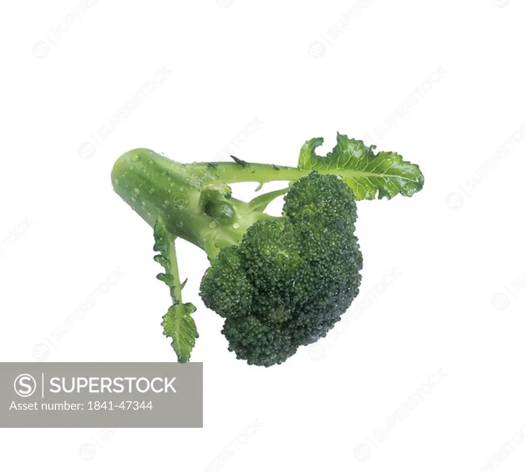 Close_up of broccoli