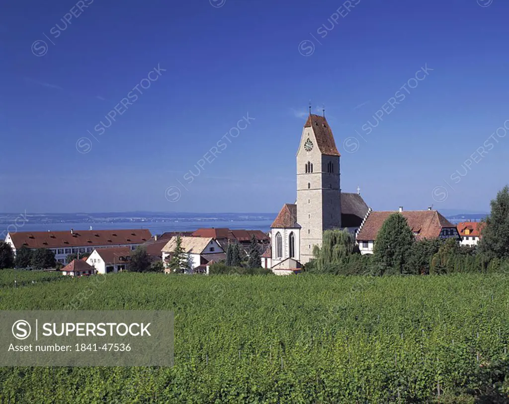 Cathedral in village against blue sky, Bodensee, Baden_Wurttemberg, Germany