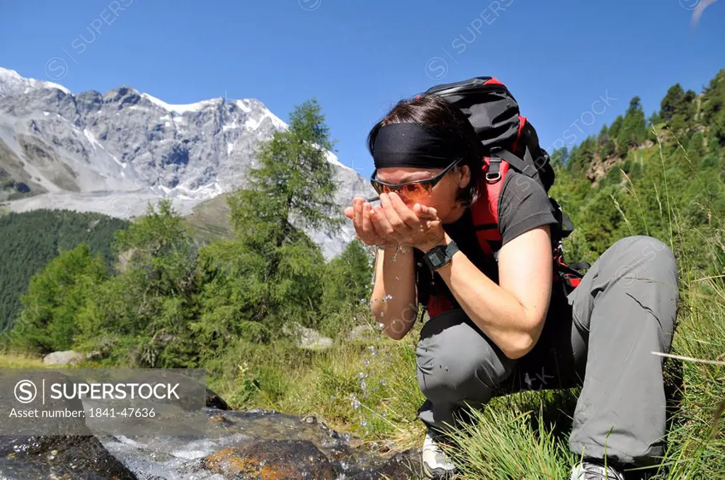Female hiker drinking from a mountain stream in Southern Tyrol, in the background the Ortler Alps