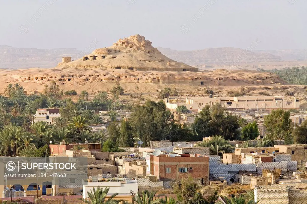 Buildings and trees in city, Siwa Oasis, Libyan Desert, Egypt