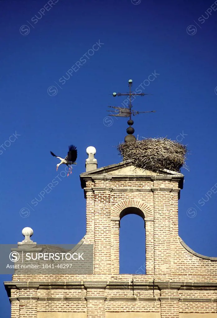 Low angle view of White stork Ciconia ciconia flying near building, Avila, Spain