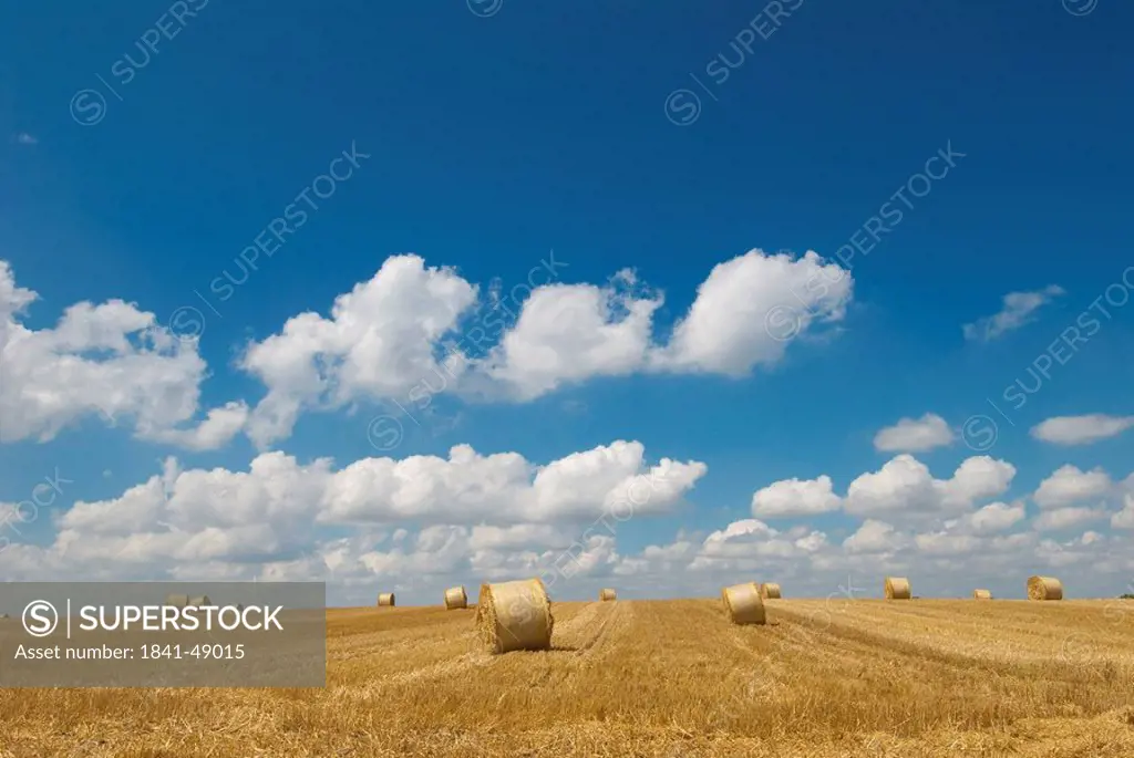 Stubble field, Schleswig_Holstein, Germany