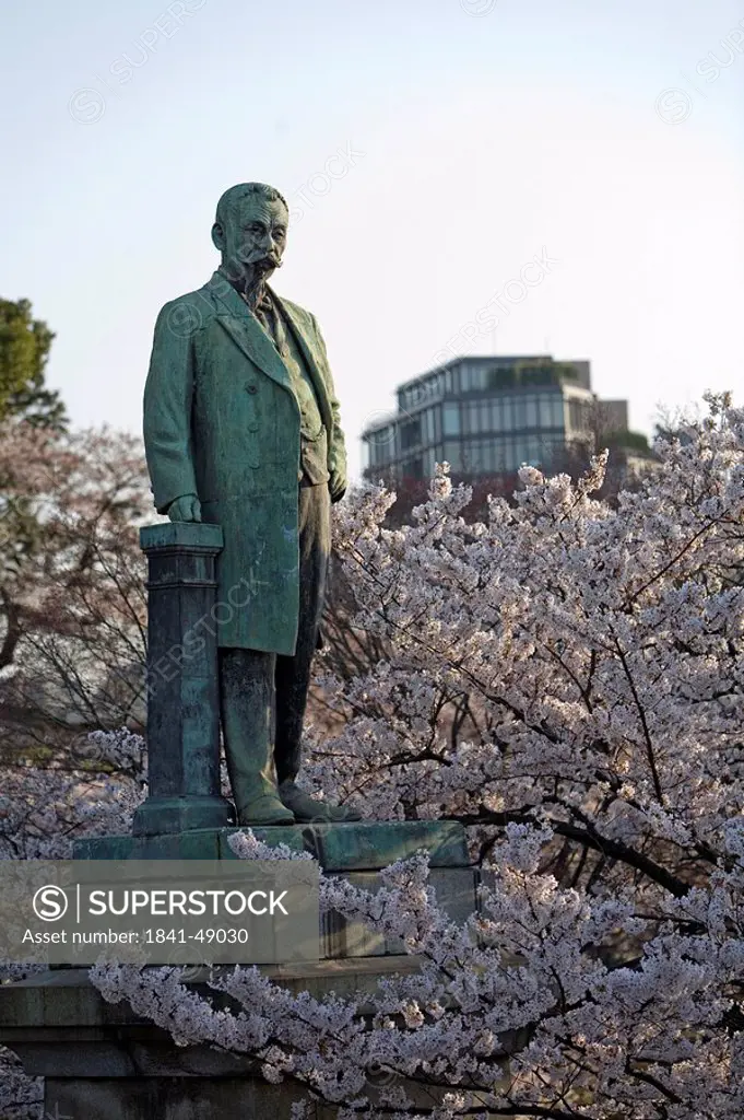 Statue in a park surrounded by cherry trees,Tokyo, Japan