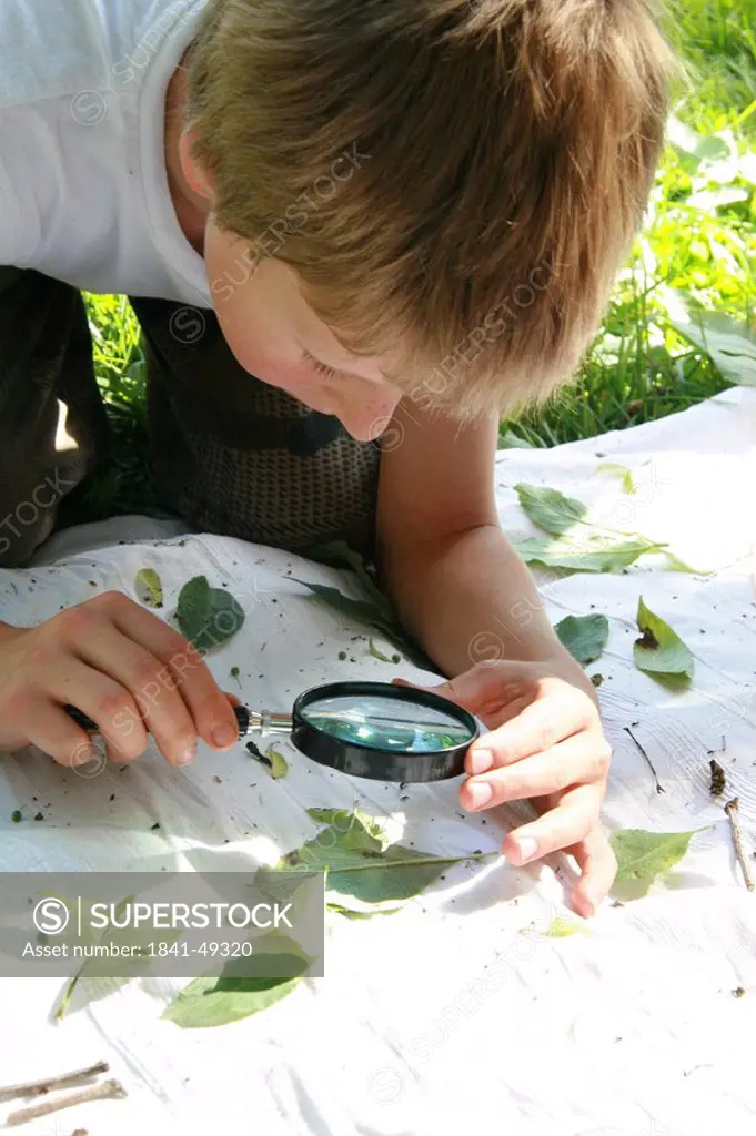 Boy examing plants with magnifying glass