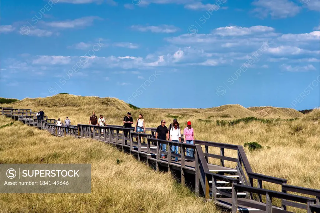 Tourists on a wooden footbridge in the dunes of Wenningstedt_Braderup, Sylt, Germany