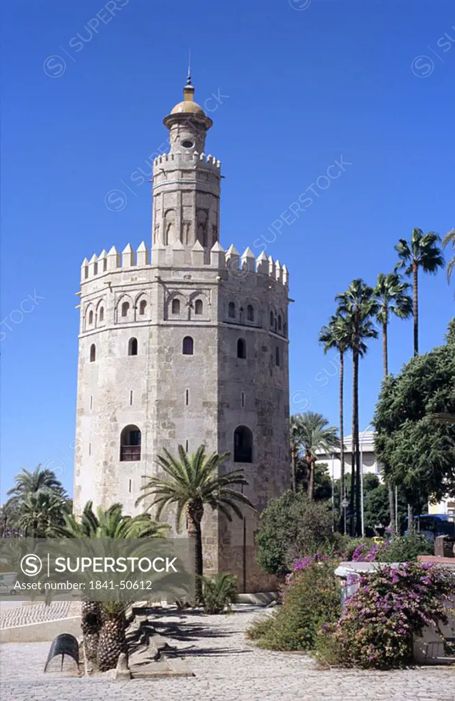 Trees in front of watchtower, Torre del Oro, Seville, Andalusia, Spain