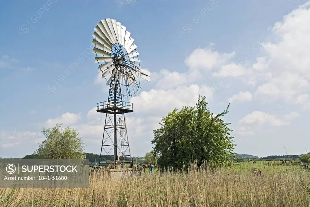 Traditional windmill on rural landscape, Moenchgut, Ruegen Island, Mecklenburg_Vorpommern, Germany