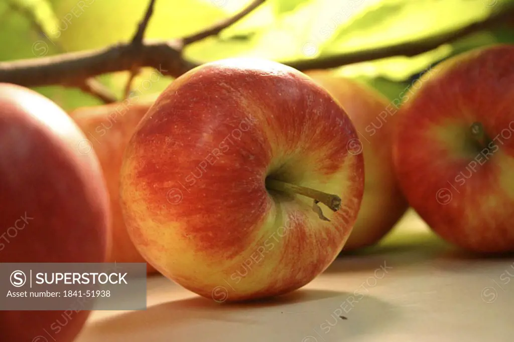 row of red apples, close_up