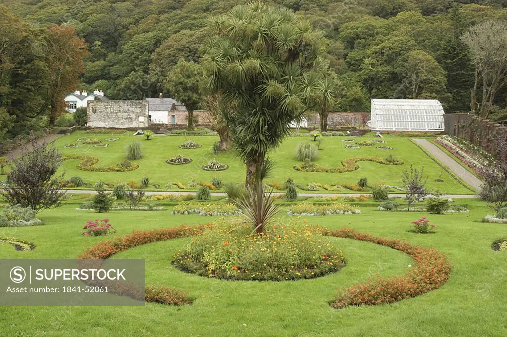 Tree in formal garden, Kylemore Abbey, Republic of Ireland