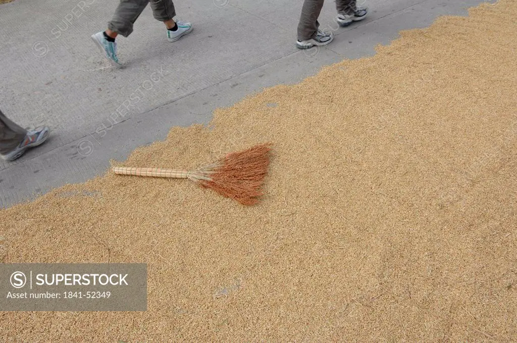 Broom on rice grains, Chengdu, Sichuan Province, China