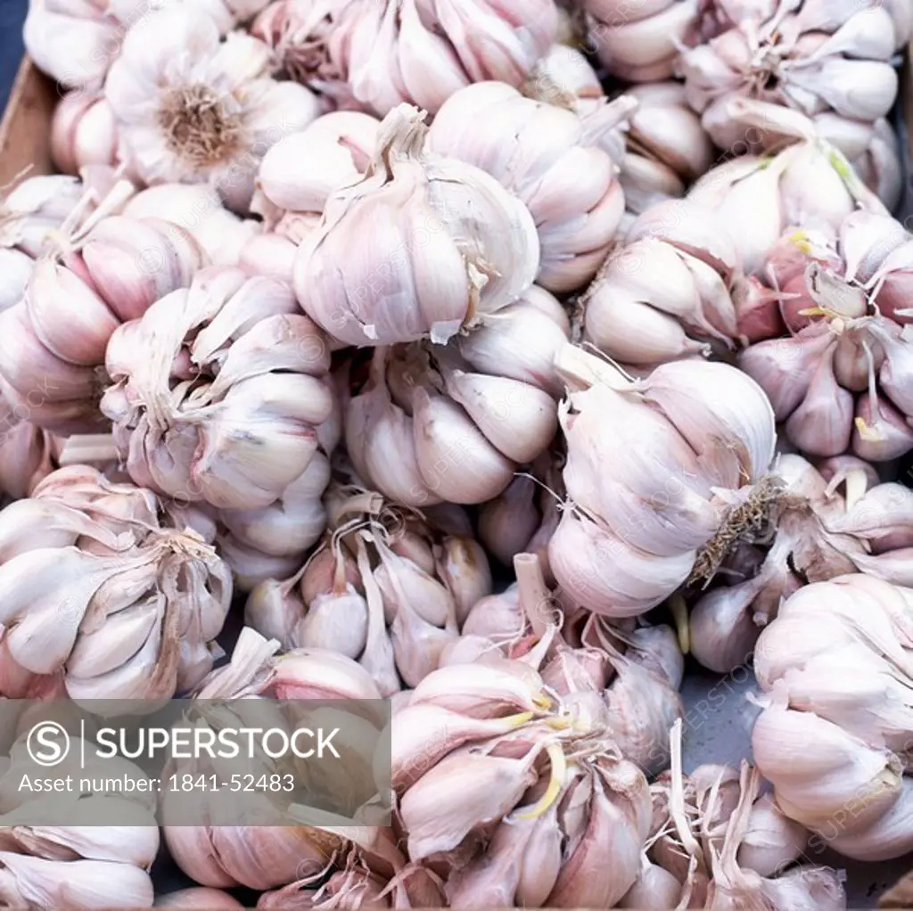 Close_up of garlic
