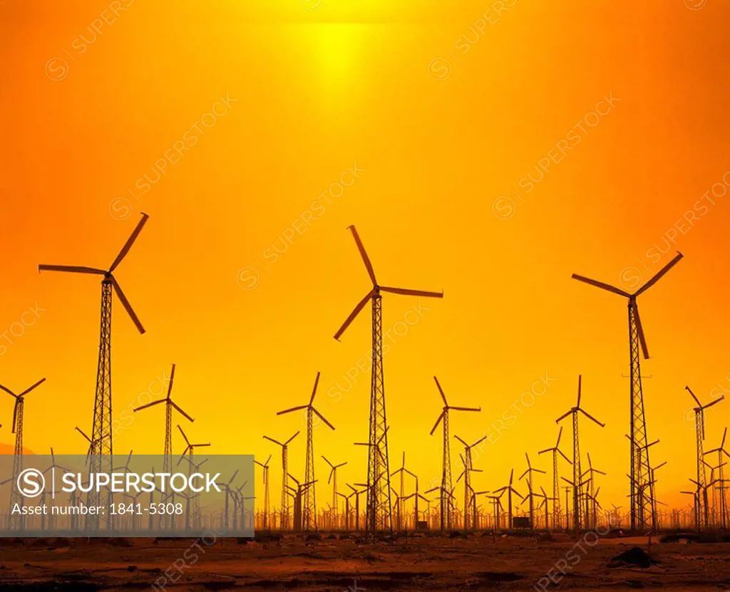 Silhouette of windmills at dusk, California, USA