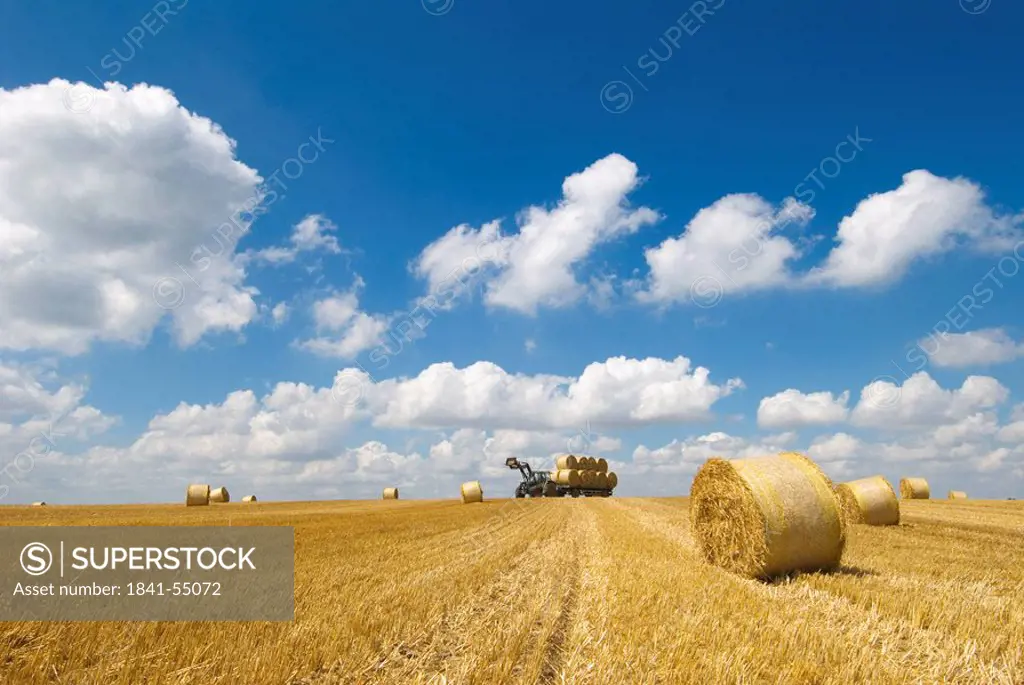 Bales of straw on a stubble field, Schleswig_Holstein, Germany