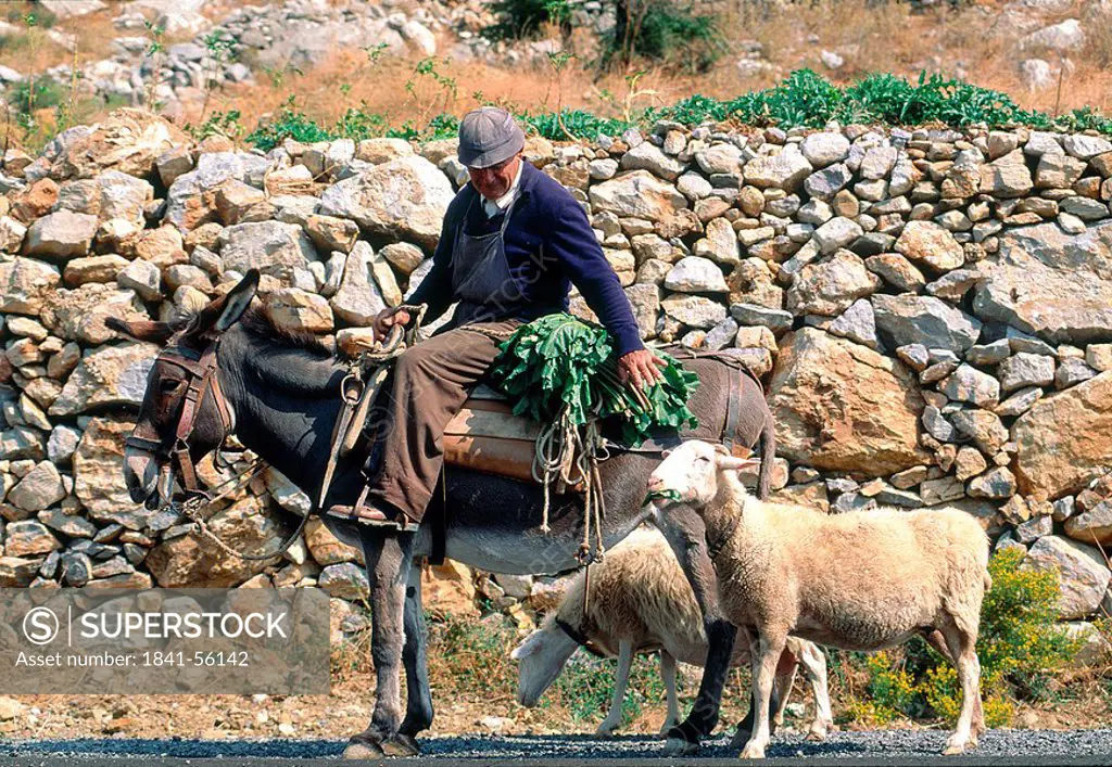 Side profile of man sitting riding donkey with goat on road, Greece