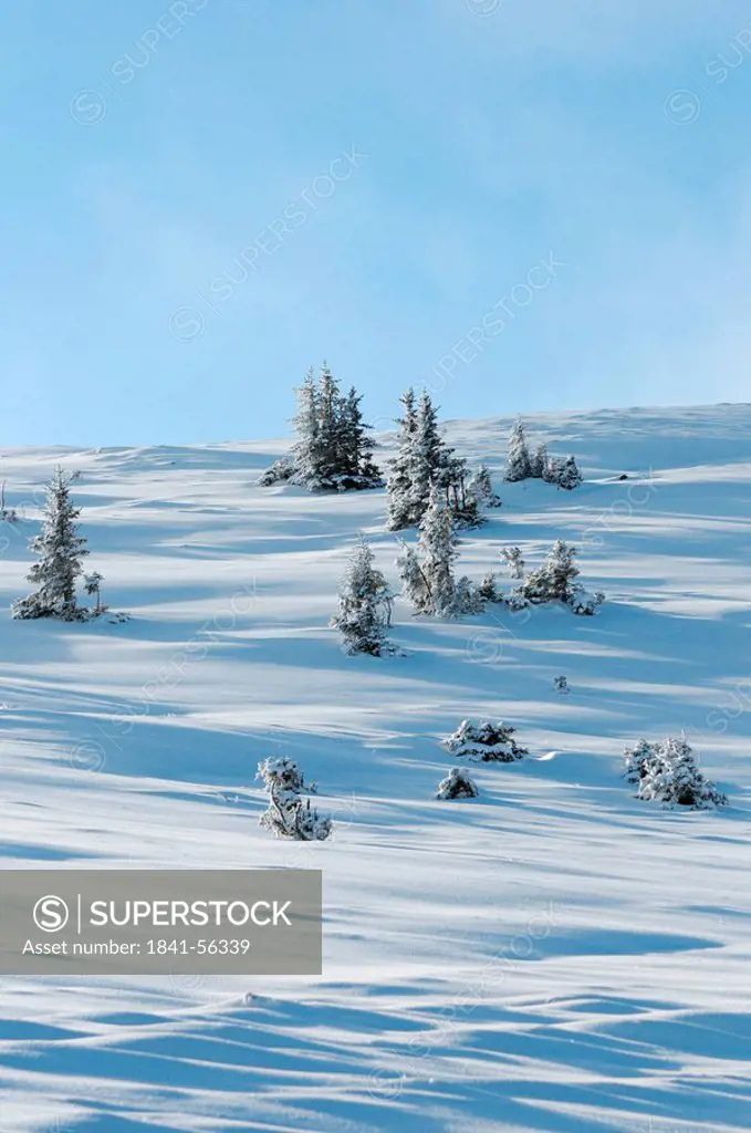 Winter landscape, Styria, Austria