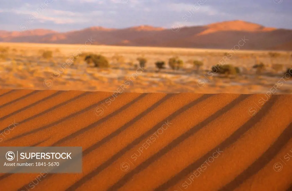 Desert Namib, Namibia, Africa