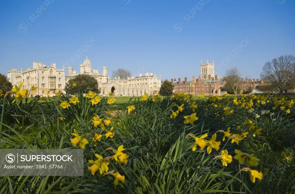 Garden in front of college, St Johns College, Cambridge University, Cambridge, Cambridgeshire, England