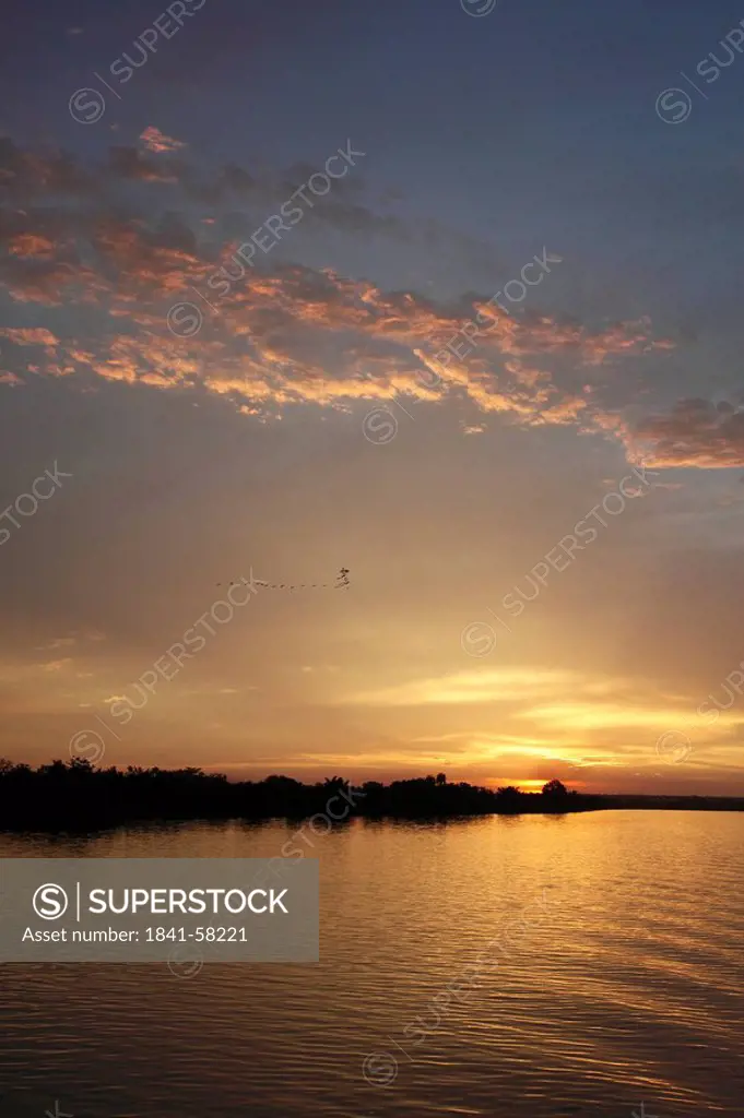 Gambia river, Gambia, West Africa, Africa