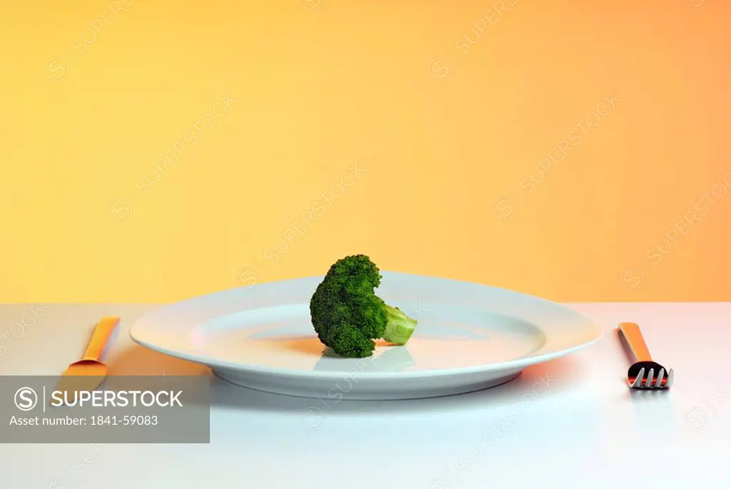 Close_up of broccoli on plate