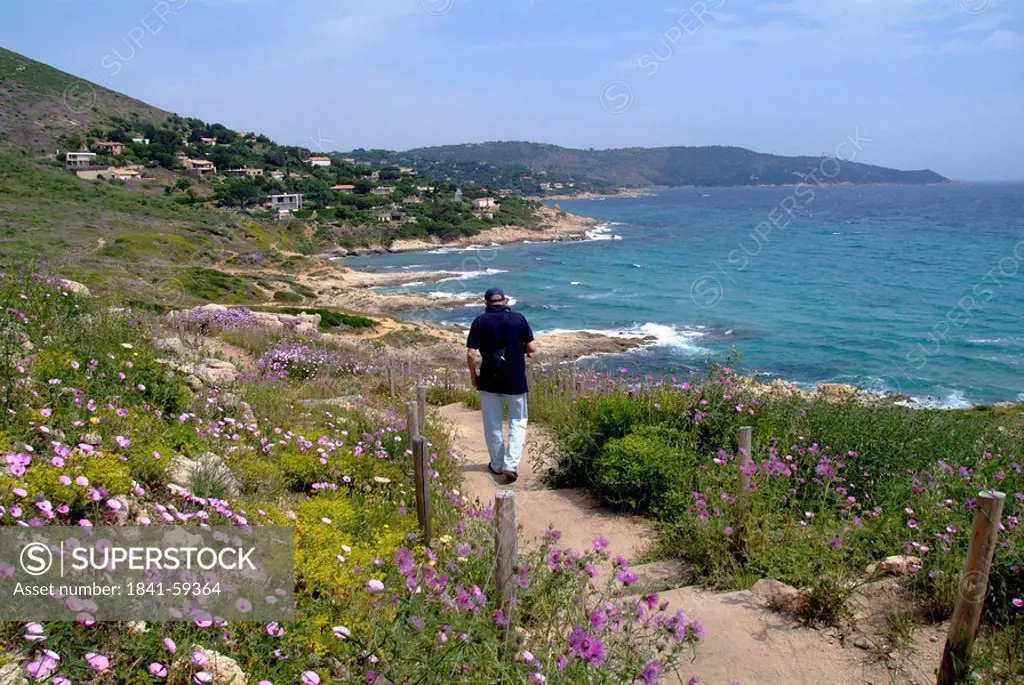 Coastal path at the Cap Taillat near St. Tropez, France
