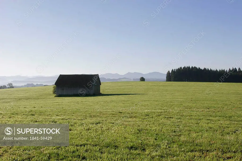Hut in field, Baden_Wuerttemberg, Germany