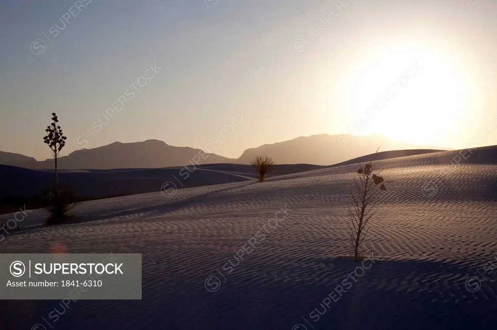 Sunset at White Sands National Monument, New Mexico, USA