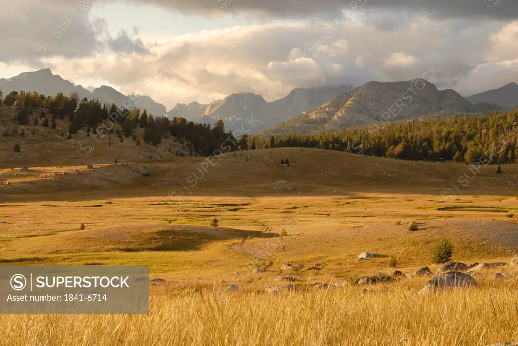 Landscape with mountain range in background, Wind River Range, Fish Creek Park, Wyoming, USA