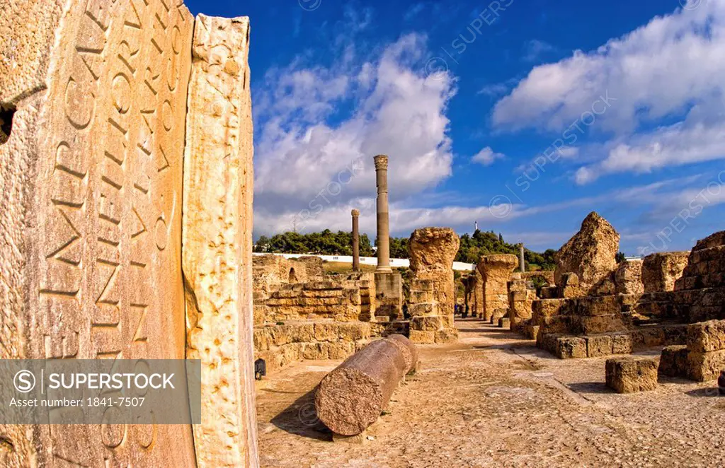 Ruins of a roman bath, Carthage, Tunisia, Africa