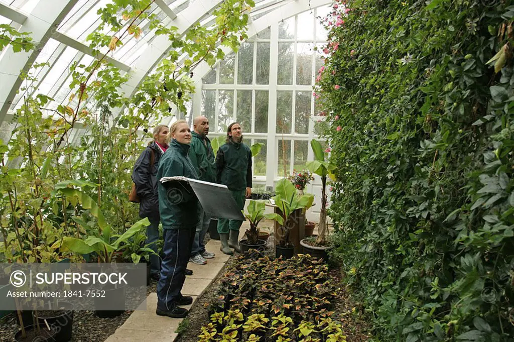 Four people standing inside greenhouse