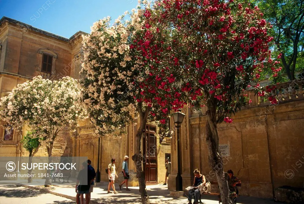 Tourists at square court, Mdina, Malta