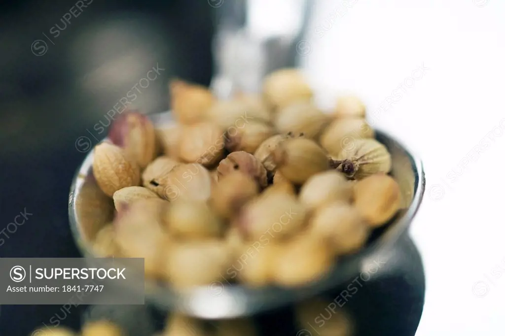 Close_up of coriander seeds on spoon