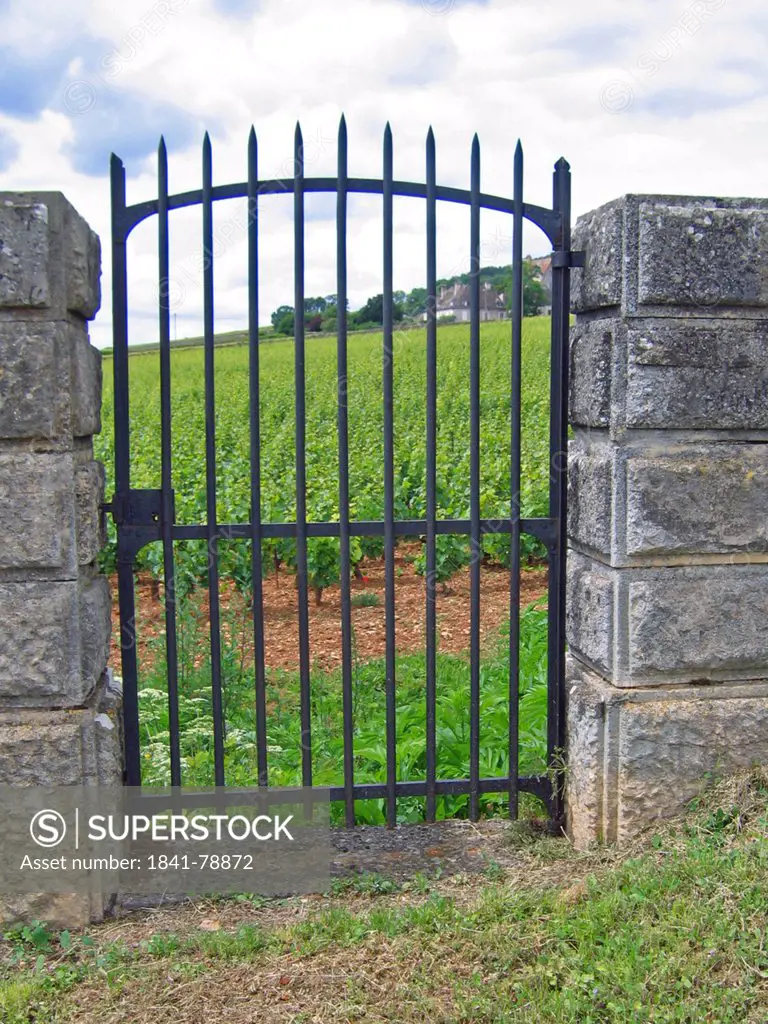 Gate at entrance of crop field