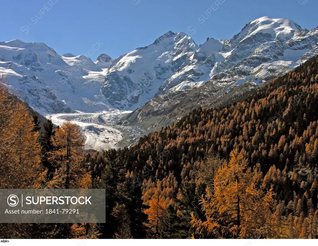 Forest in front of snow covered mountains