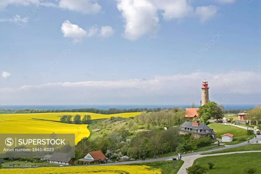 Oilseed rape field with lighthouse in background, Schinkelturm, Putgarten, Rugen, Mecklenburg_Vorpommern, Germany