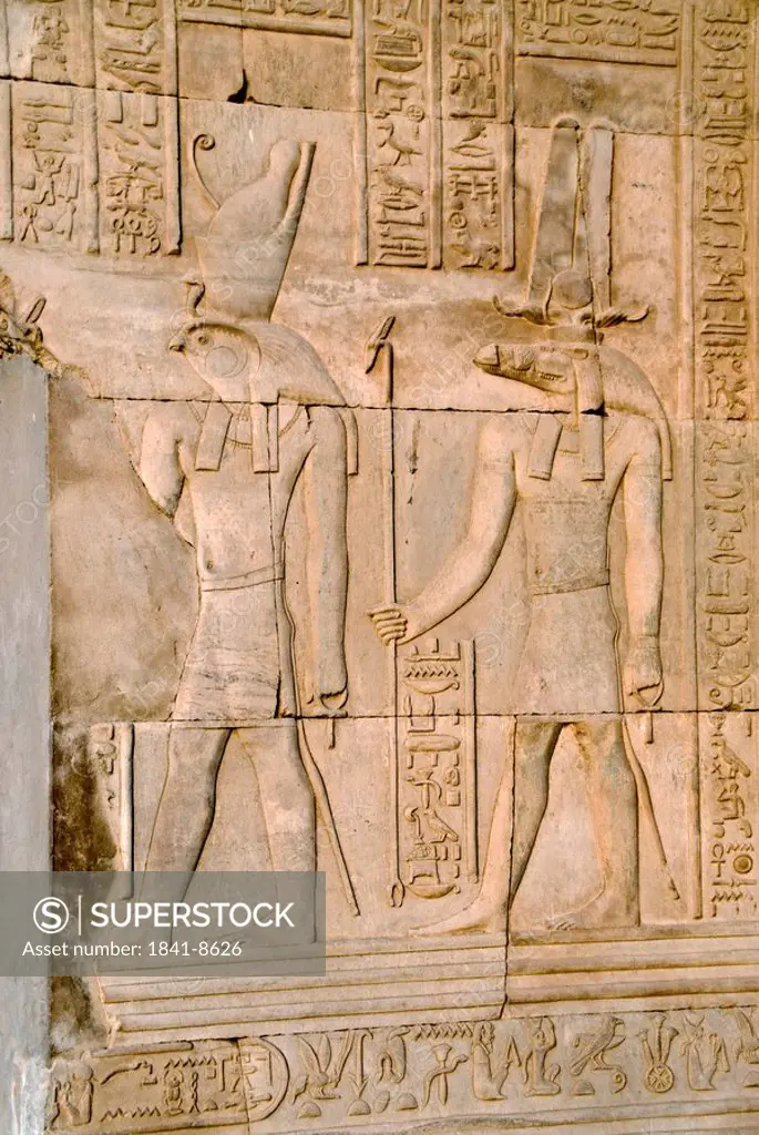 Relief on a wall of the temple of Kom Ombo, Egypt, close_up