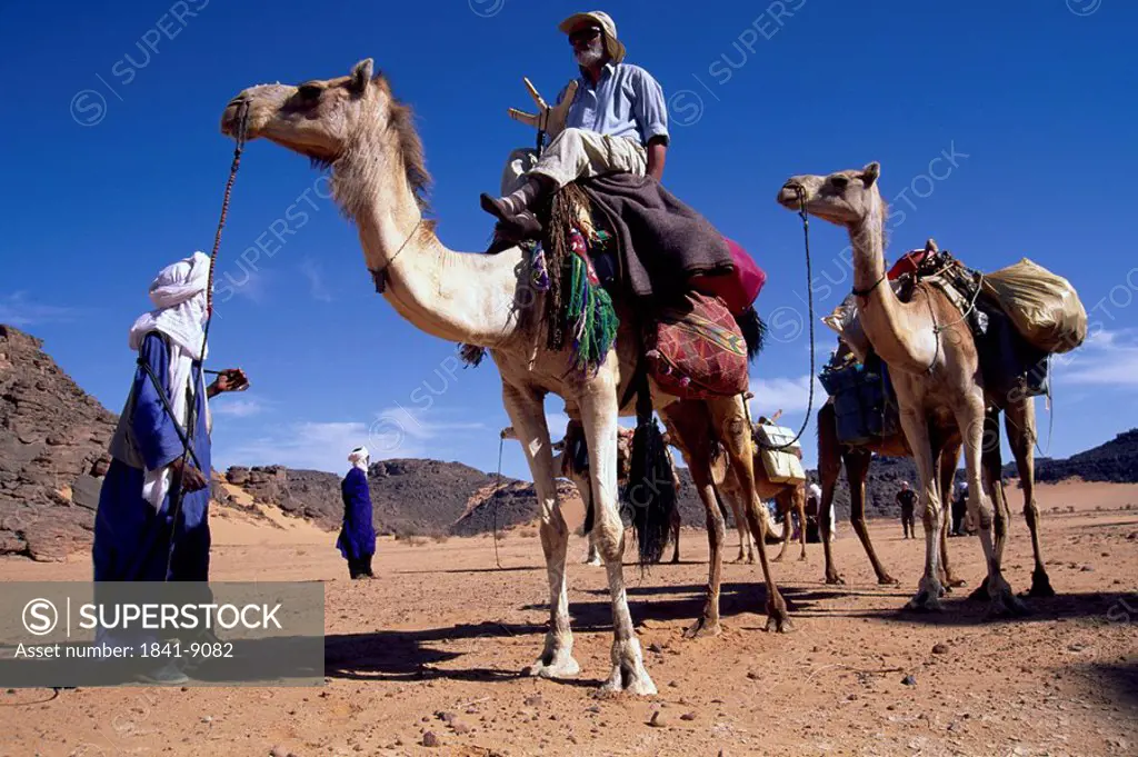 Camel riders, Lybia