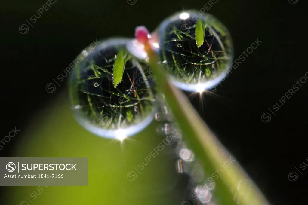 Close_up of waterdrops on blade of grass