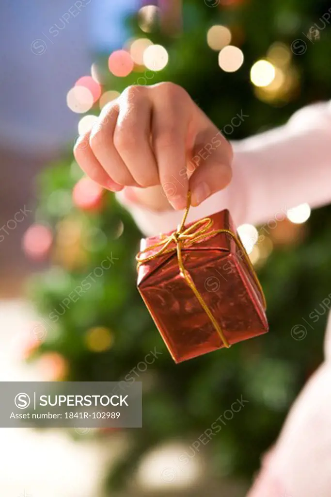 small gift in small hand