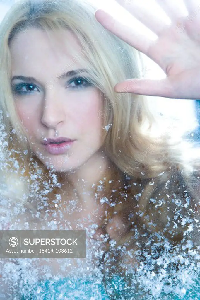 woman behind winter glass