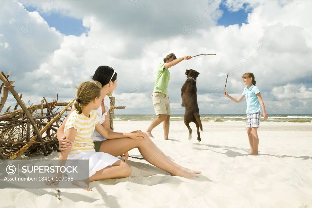 family on beach playing with dog