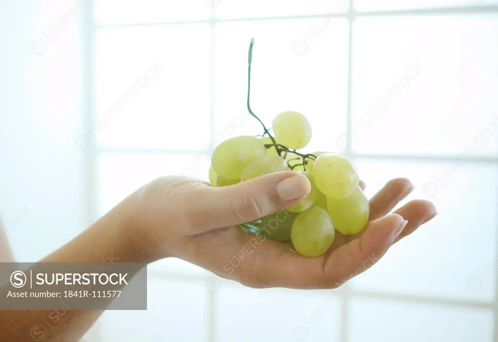 Female hand holding a bunch of grapes.
