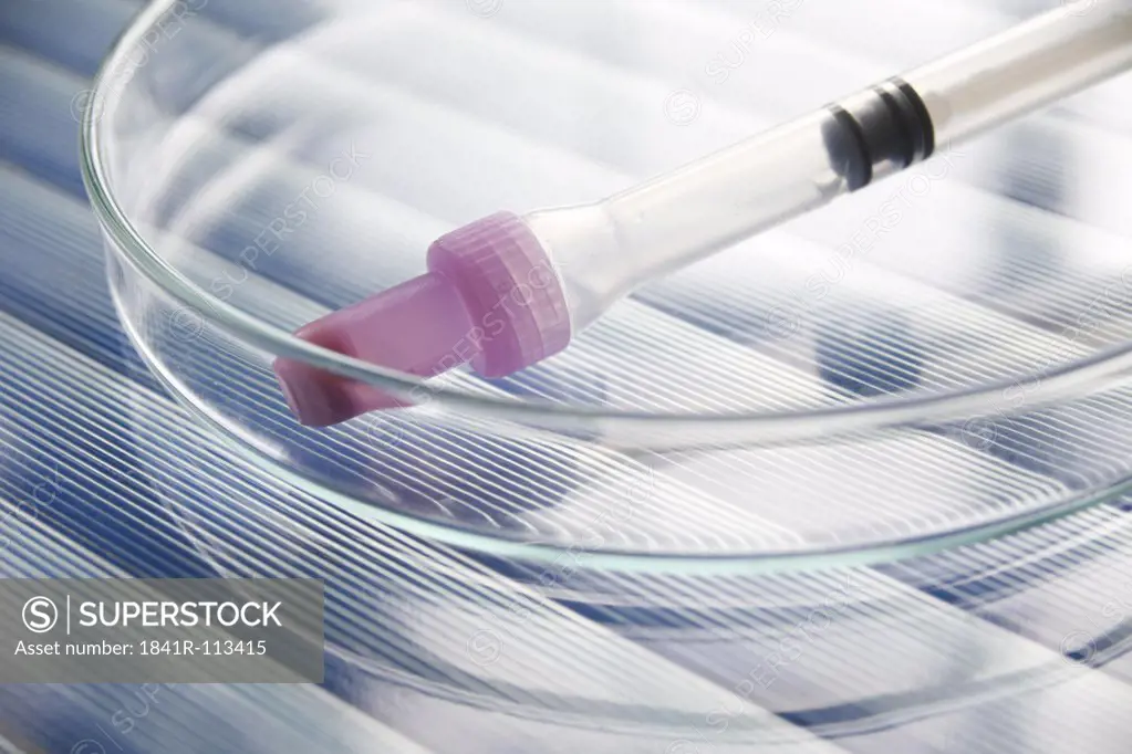 Syringe in a petri dish - monovette tube