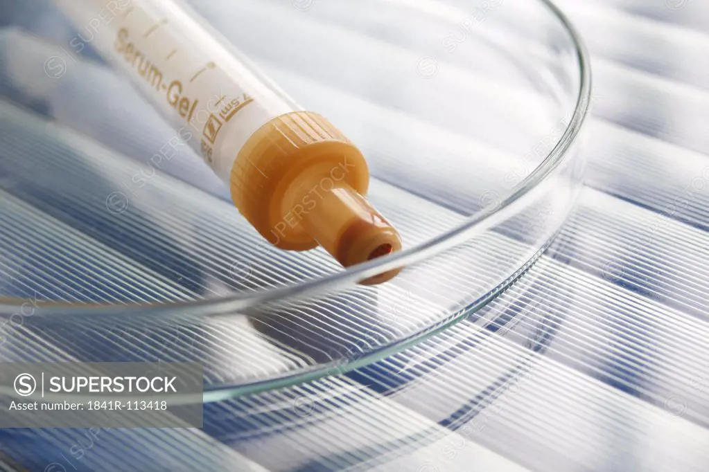 Syringe in a petri dish - monovette tube