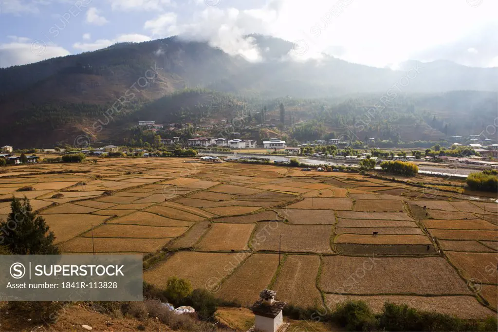 Paddy fields in the Paro Valley, Bhutan