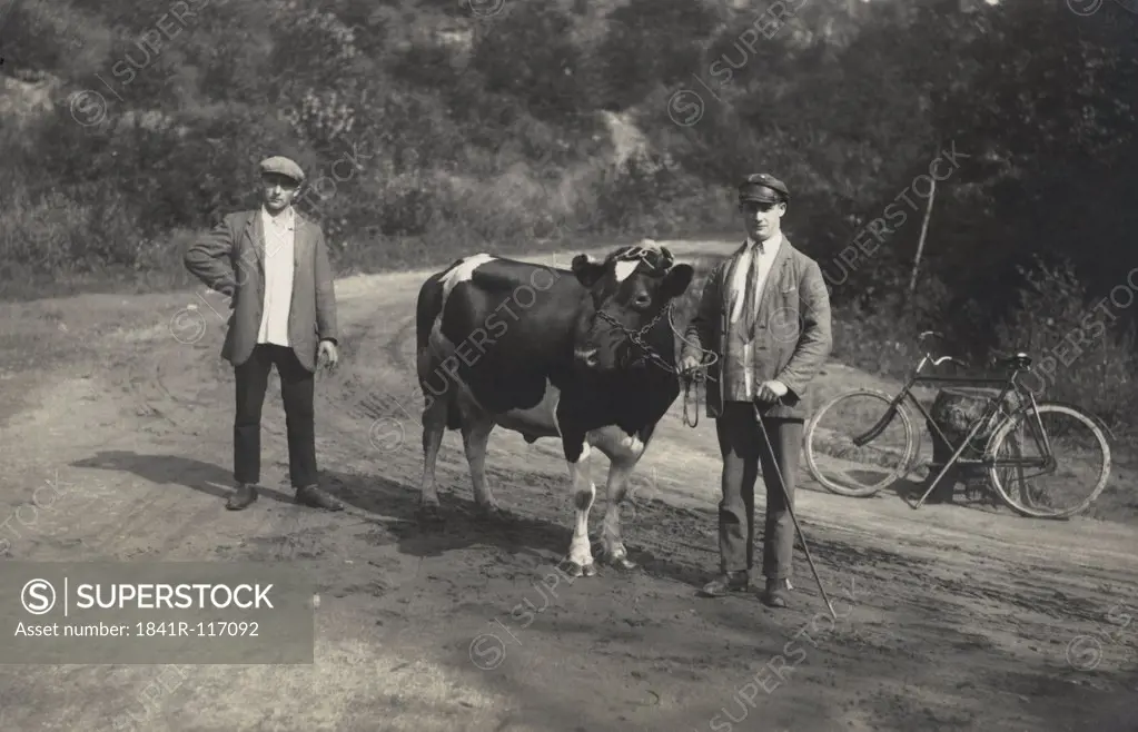 Historical picture of two farmer with a cow