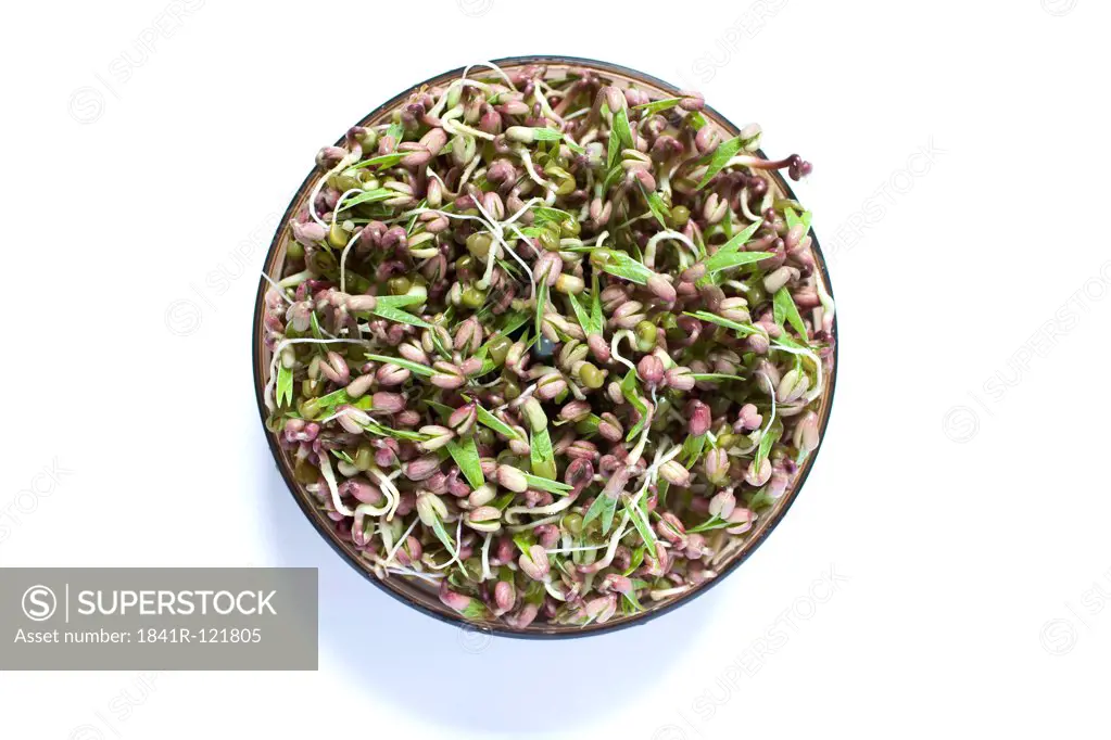 Mungbeans in a bowl