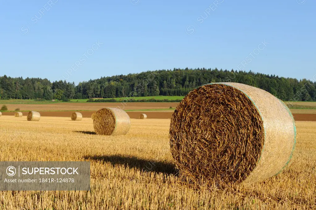 Bales of straw, Upper Palatinate, Bavaria, Germany, Europe