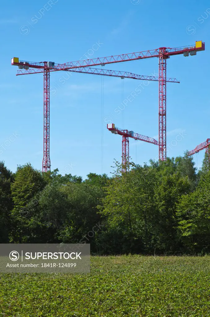 Cranes on a construction site near a field